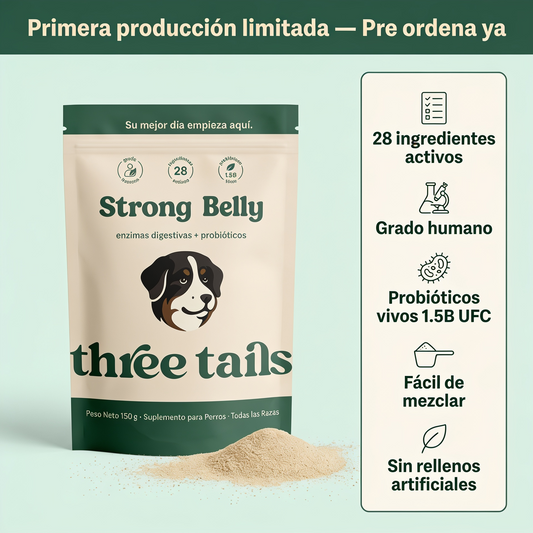 Strong Belly - Enzimas + Probióticos - Soporte Digestivo Diario