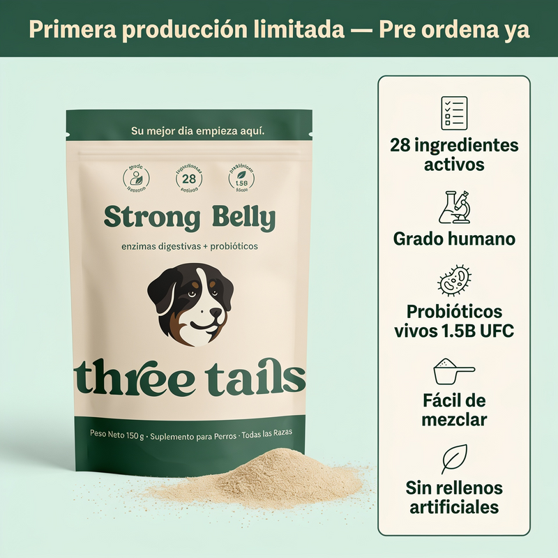 Strong Belly - Enzimas + Probióticos - Soporte Digestivo Diario