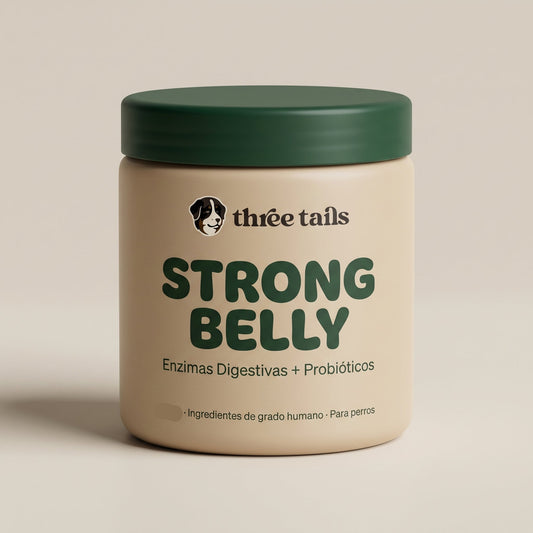 Strong Belly - Enzimas + Probióticos - Soporte Digestivo