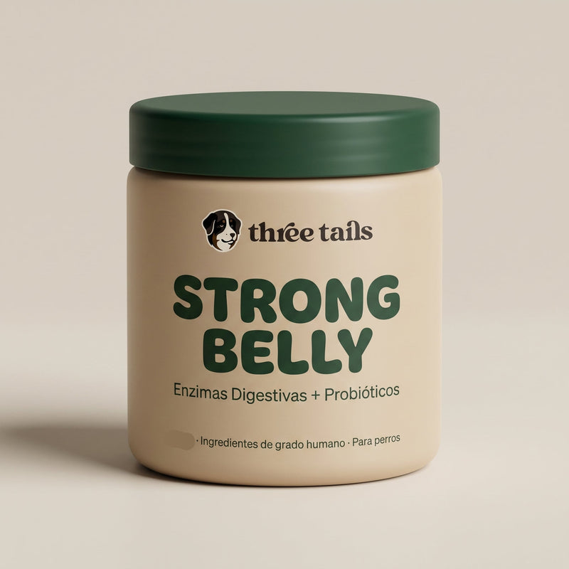 Strong Belly - Enzimas + Probióticos - Soporte Digestivo
